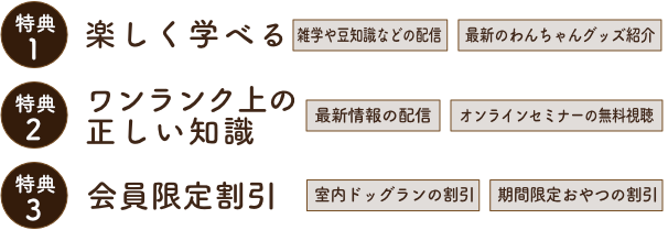 学びと繋がり、未来への投資、『共生』に向けての創作