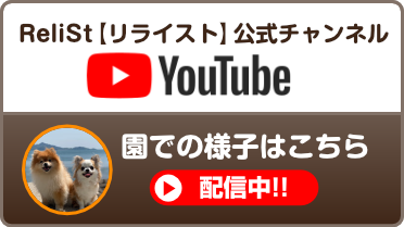 ReliSt（リライスト）ドッグランライブ中継