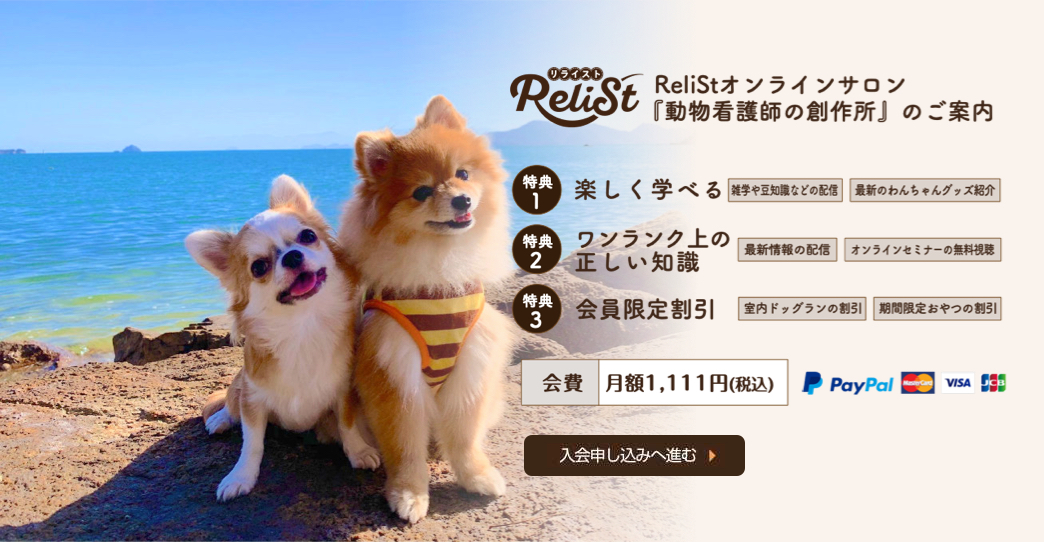 防府市で愛犬のしつけ ペットホテル 室内ドッグランならReliSt（リライスト）にご相談下さい。